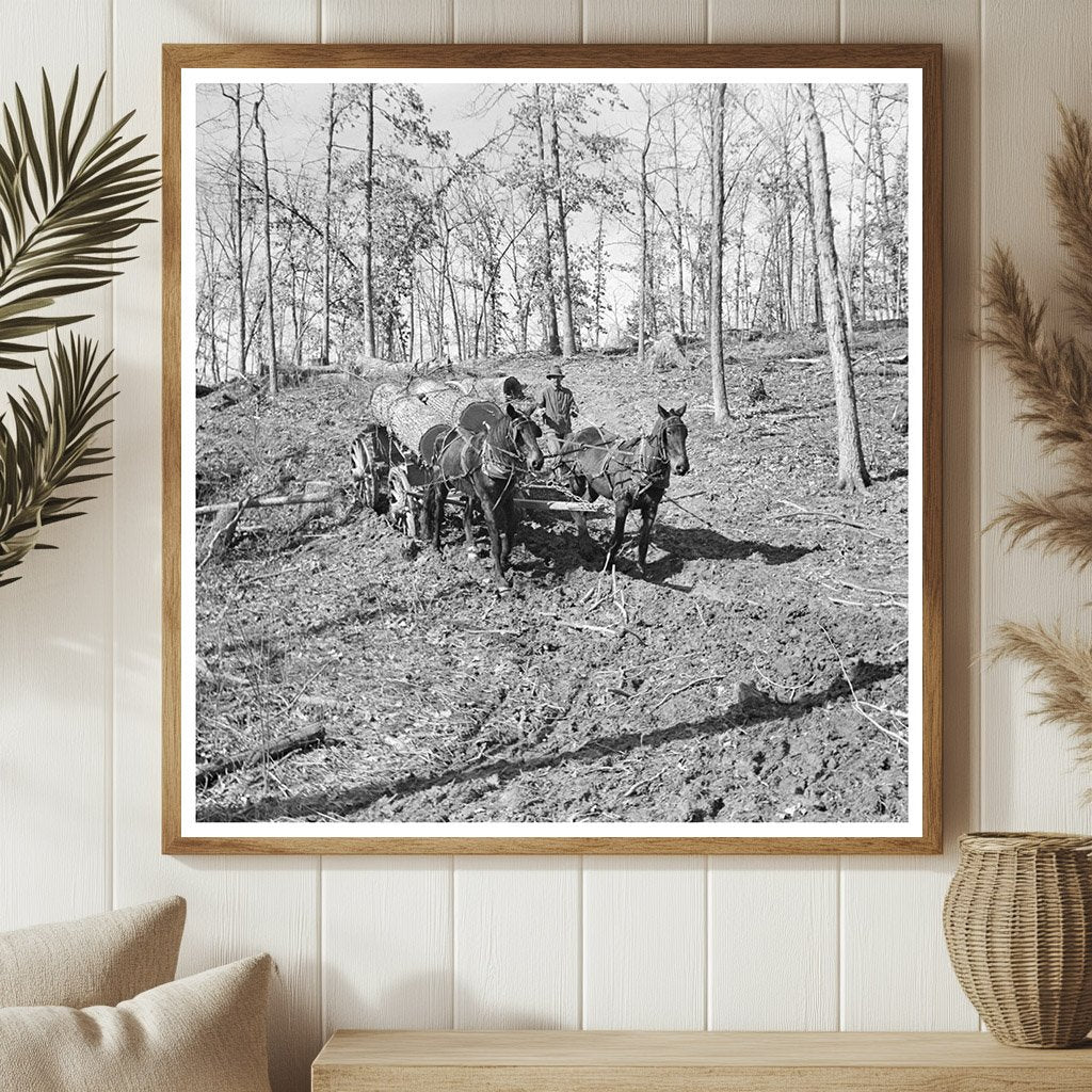 1937 Vintage Logging Transport to Sawmill in Illinois - Available at KNOWOL