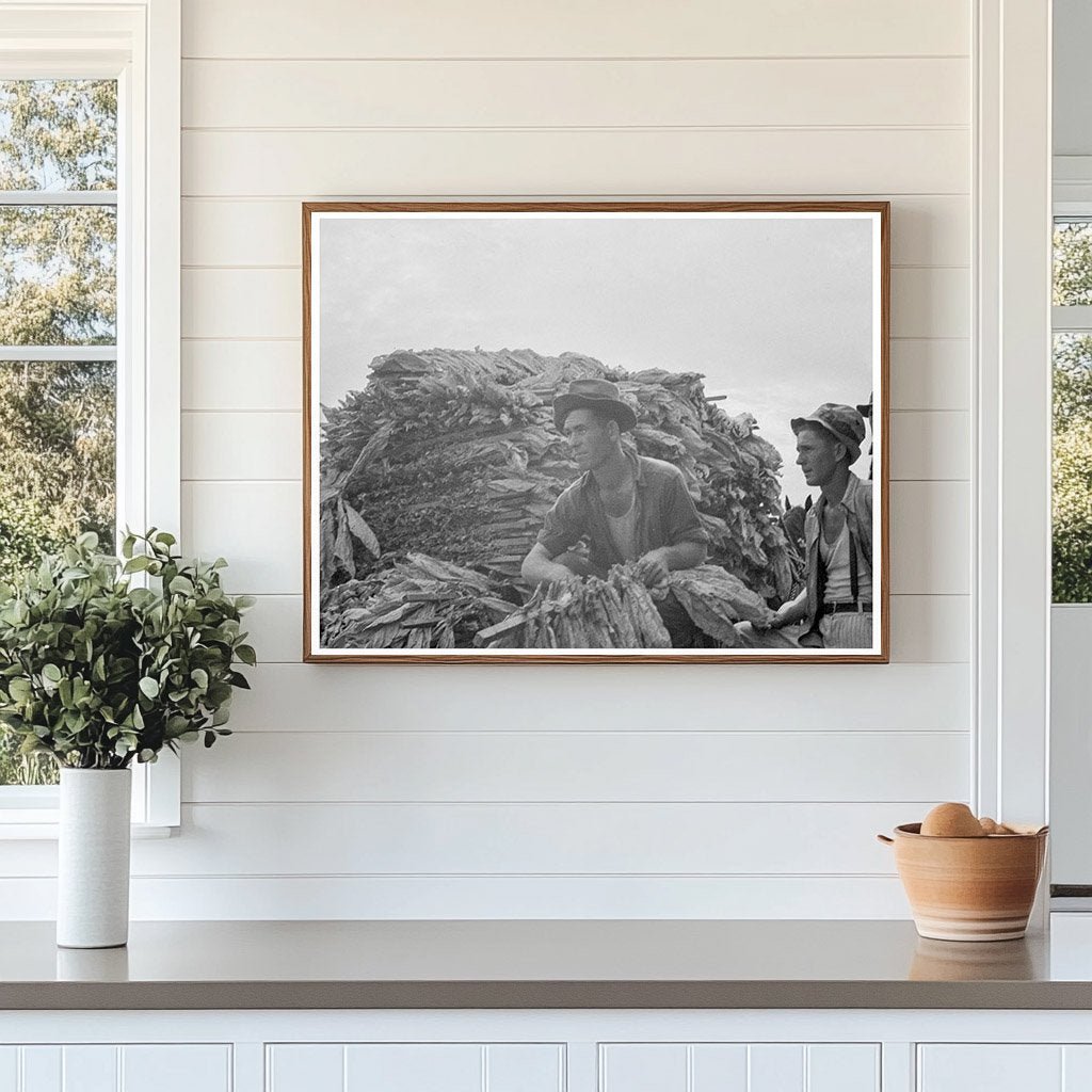 1937 Vintage Tobacco Harvesting in Georgia - Available at KNOWOL