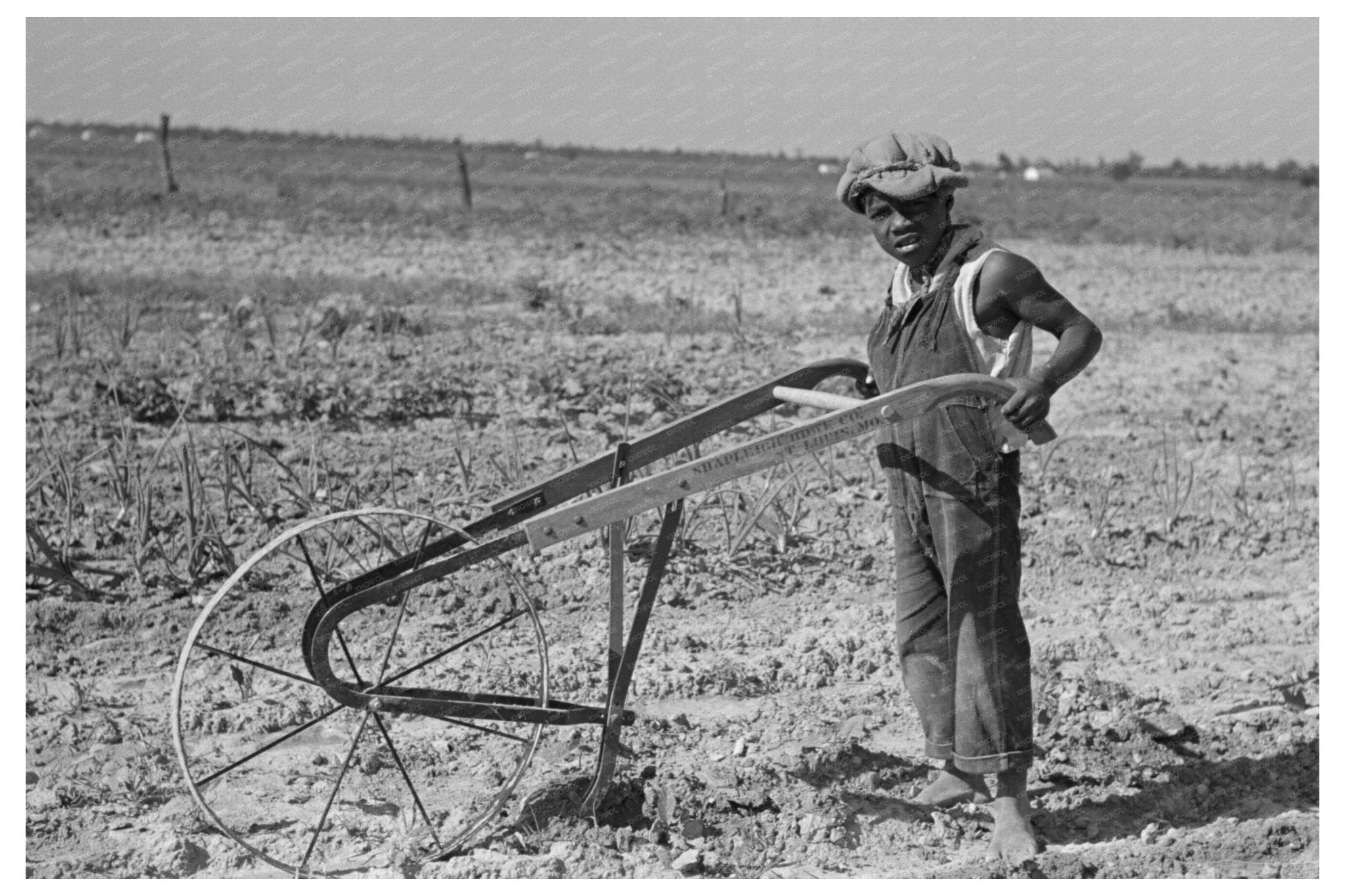 1938 Child of Sharecropper Cultivating Cotton Missouri - Available at KNOWOL