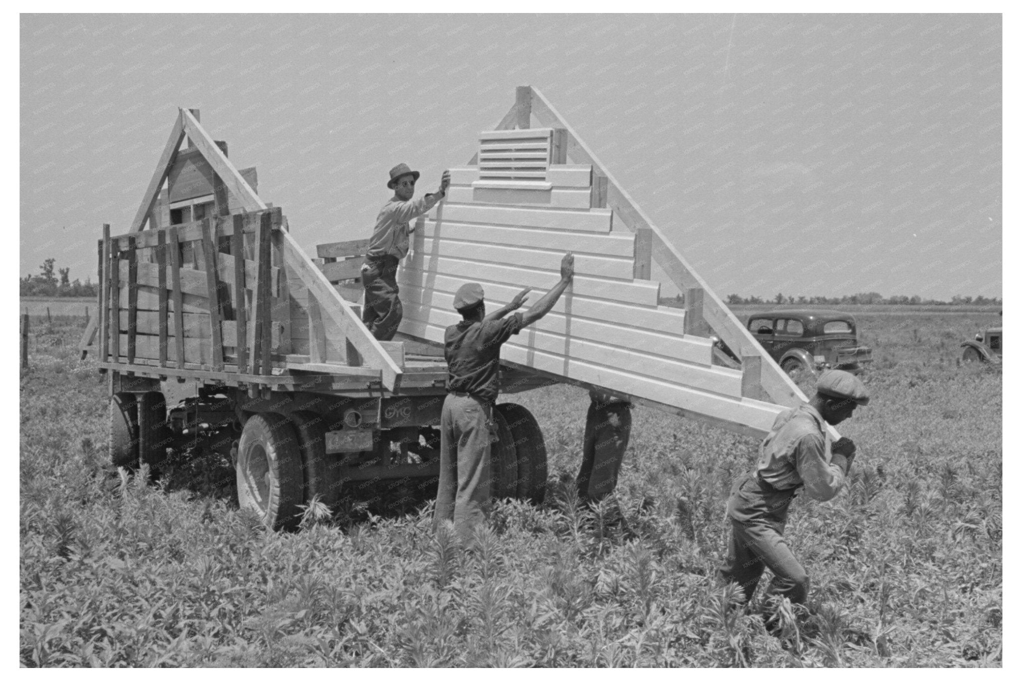 1938 Construction of Houses in Southeast Missouri Farms - Available at KNOWOL
