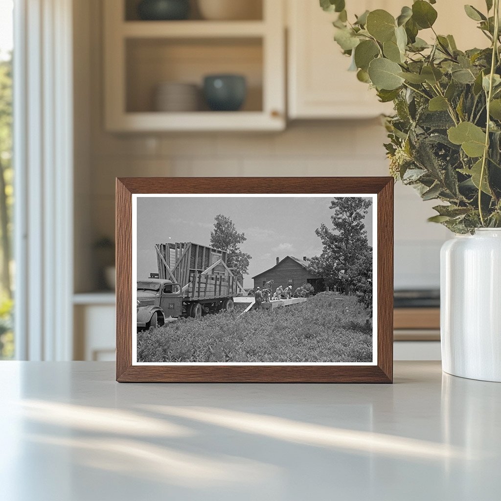 1938 Construction Scene in New Madrid County Missouri - Available at KNOWOL