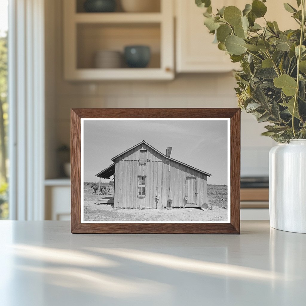 1938 Sharecroppers Cabin in New Madrid County Missouri - Available at KNOWOL