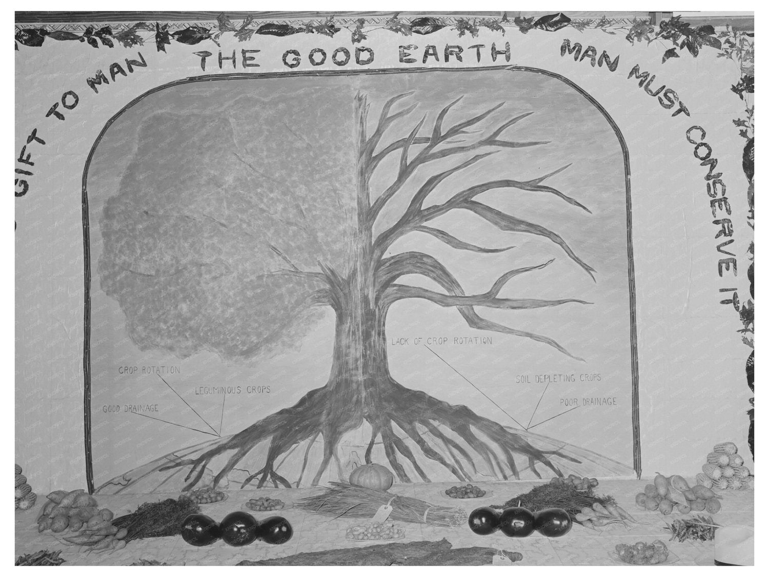 1938 South Louisiana State Fair Agricultural Display Poster - Available at KNOWOL