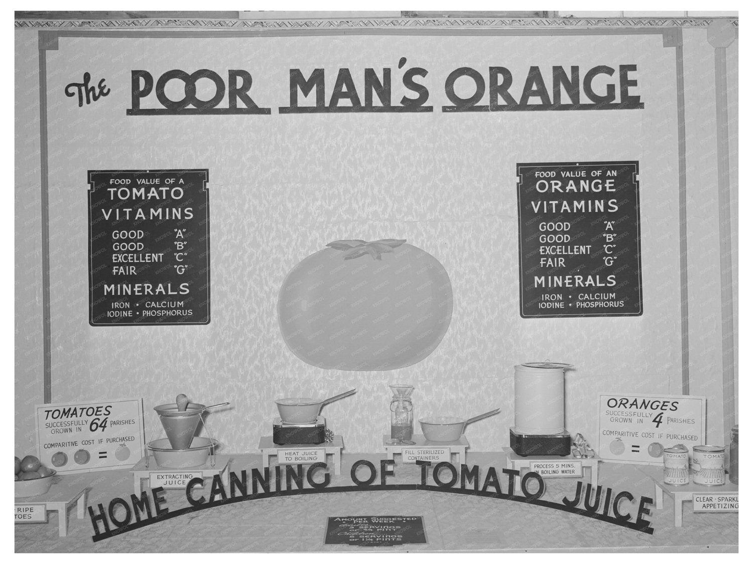 1938 Vintage Agricultural Exhibit Poster South Louisiana Fair - Available at KNOWOL