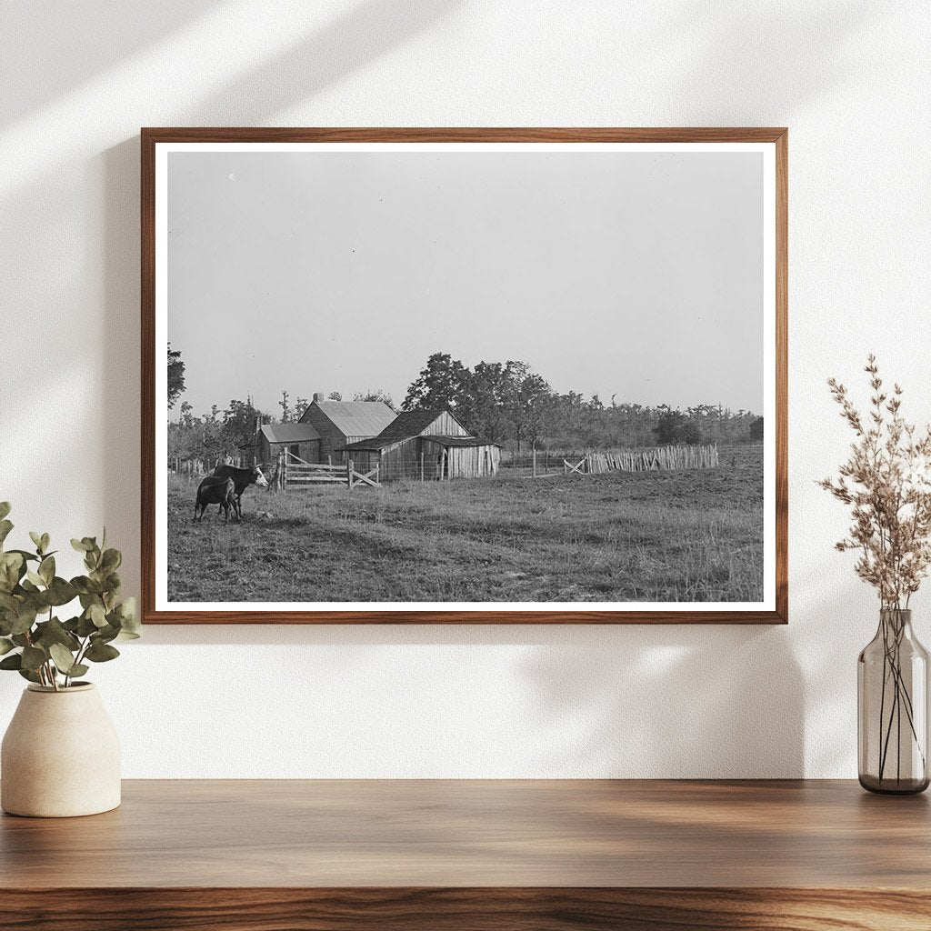 1938 Vintage Farmstead of Aged Couple in Louisiana - Available at KNOWOL
