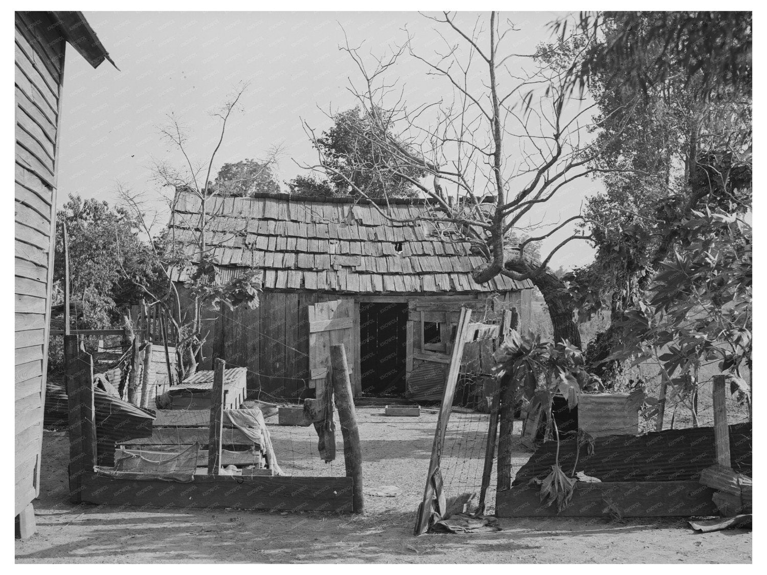 1938 Vintage Photograph of Sharecropper Home in Missouri - Available at KNOWOL