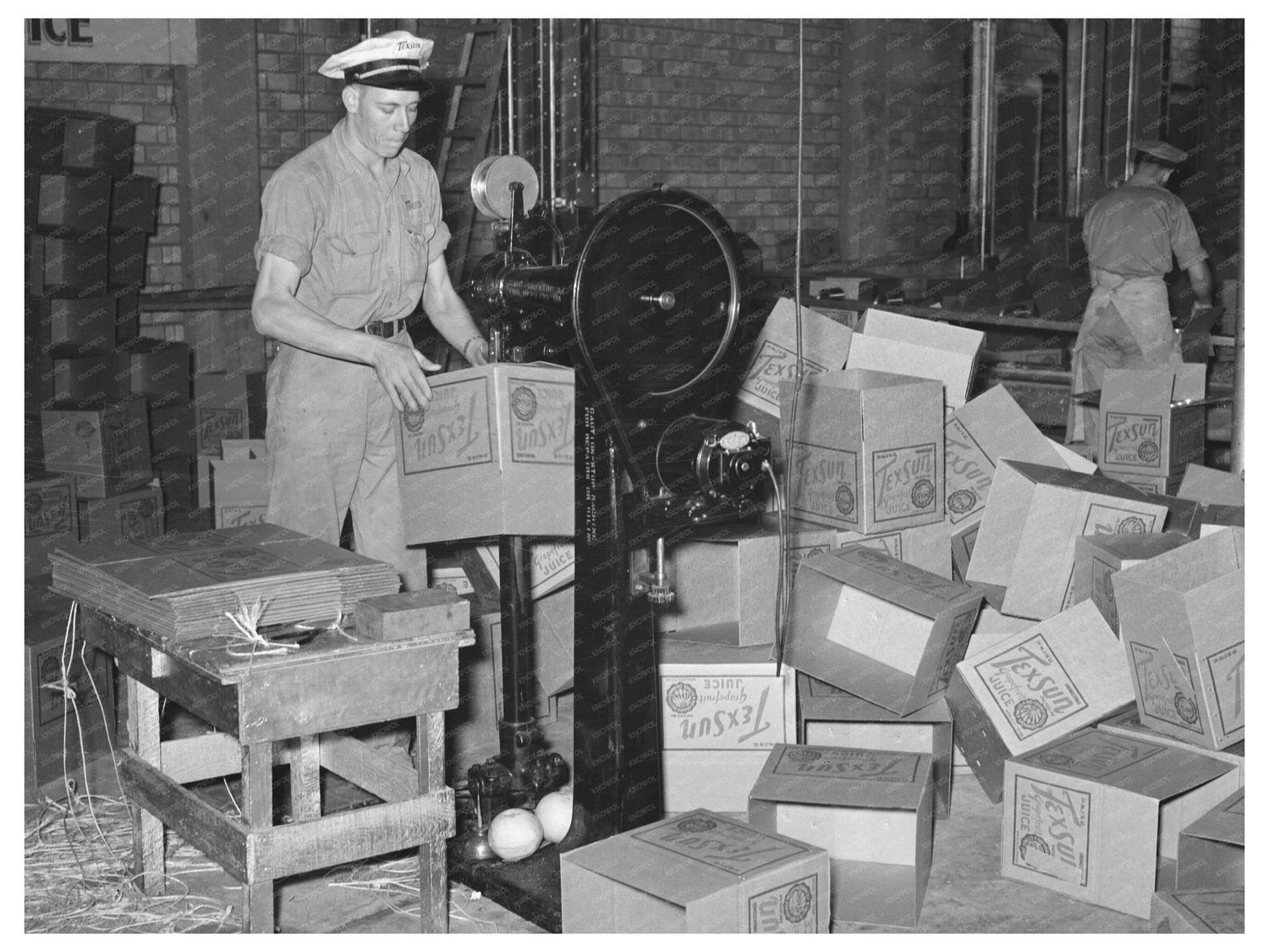 1939 Grapefruit Canning Plant Workers in Weslaco Texas - Available at KNOWOL