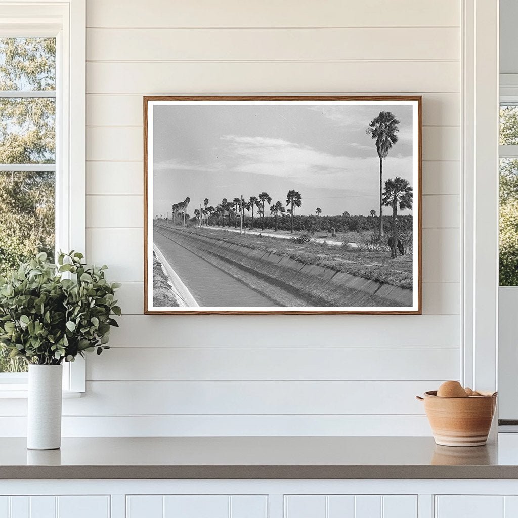 1939 Irrigation Canal in Citrus Grove San Juan Texas - Available at KNOWOL