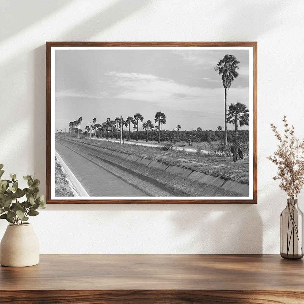 1939 Irrigation Canal in Citrus Grove San Juan Texas - Available at KNOWOL