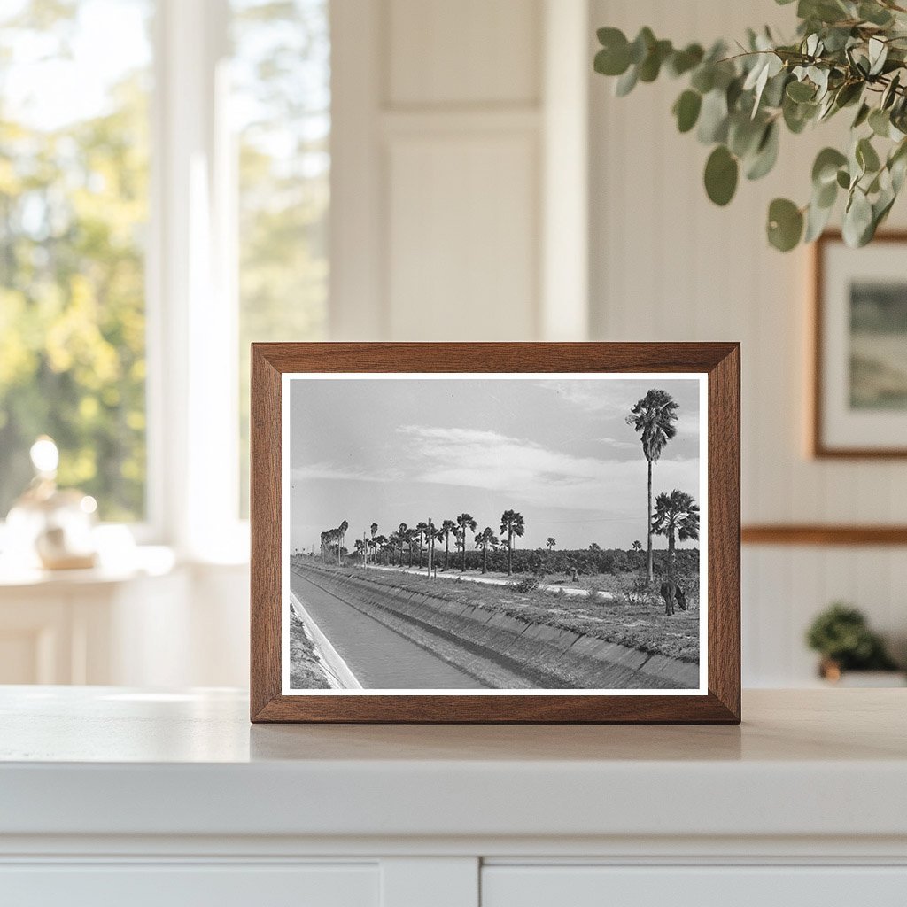 1939 Irrigation Canal in Citrus Grove San Juan Texas - Available at KNOWOL