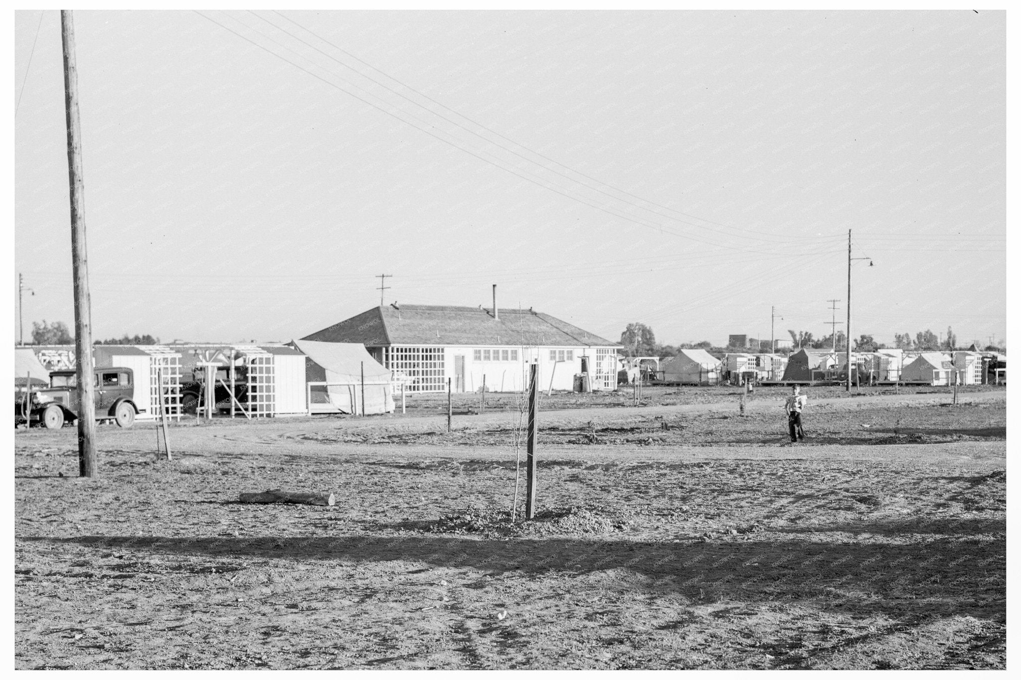 1939 Pea Harvest Migratory Labor Camp Brawley California - Available at KNOWOL