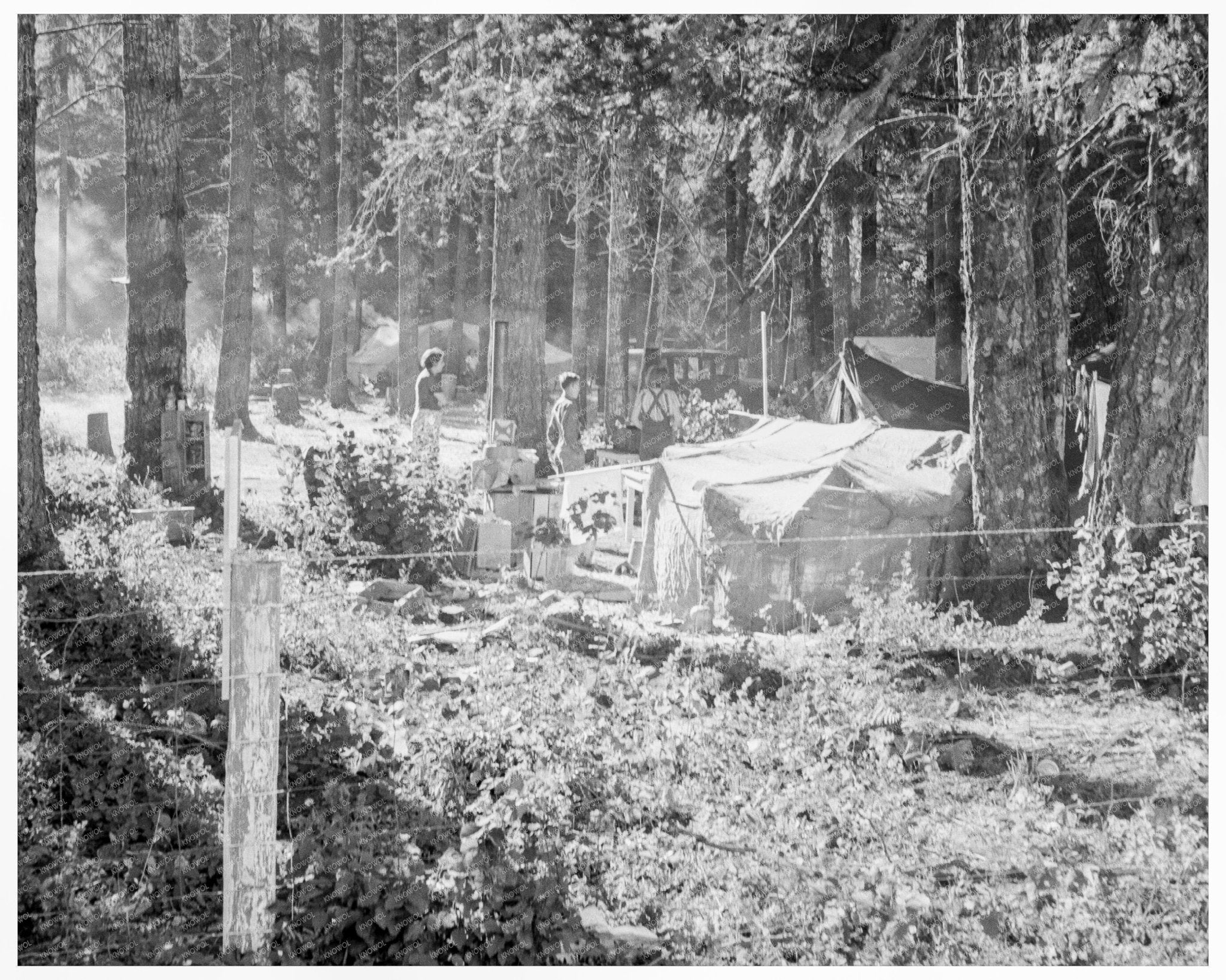 1939 Vintage Auto Camp with Bean Pickers in Oregon - Available at KNOWOL
