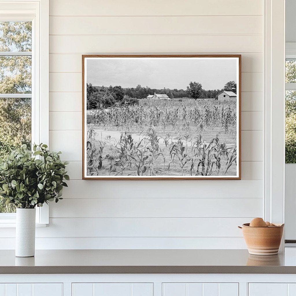 1939 Vintage Farmhouse in Caswell County North Carolina - Available at KNOWOL