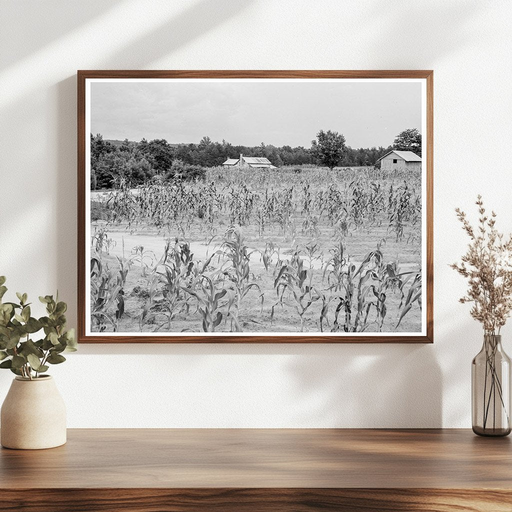 1939 Vintage Farmhouse in Caswell County North Carolina - Available at KNOWOL