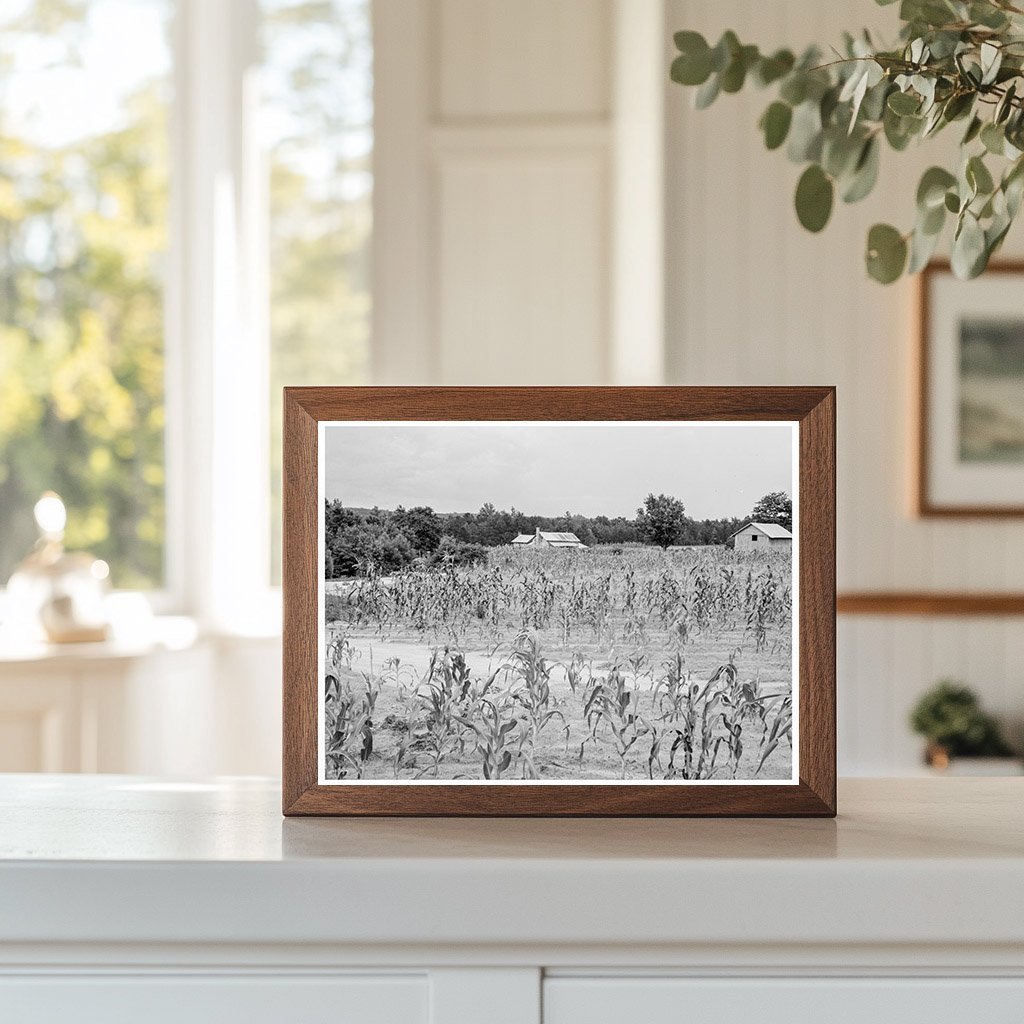 1939 Vintage Farmhouse in Caswell County North Carolina - Available at KNOWOL