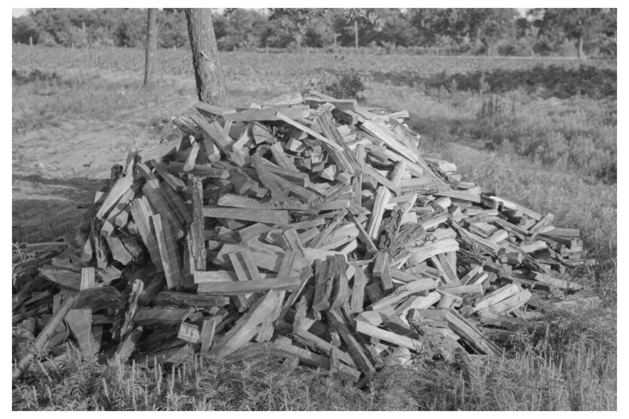 1939 Vintage Image of Indian Day Laborers Gathering Wood - Available at KNOWOL
