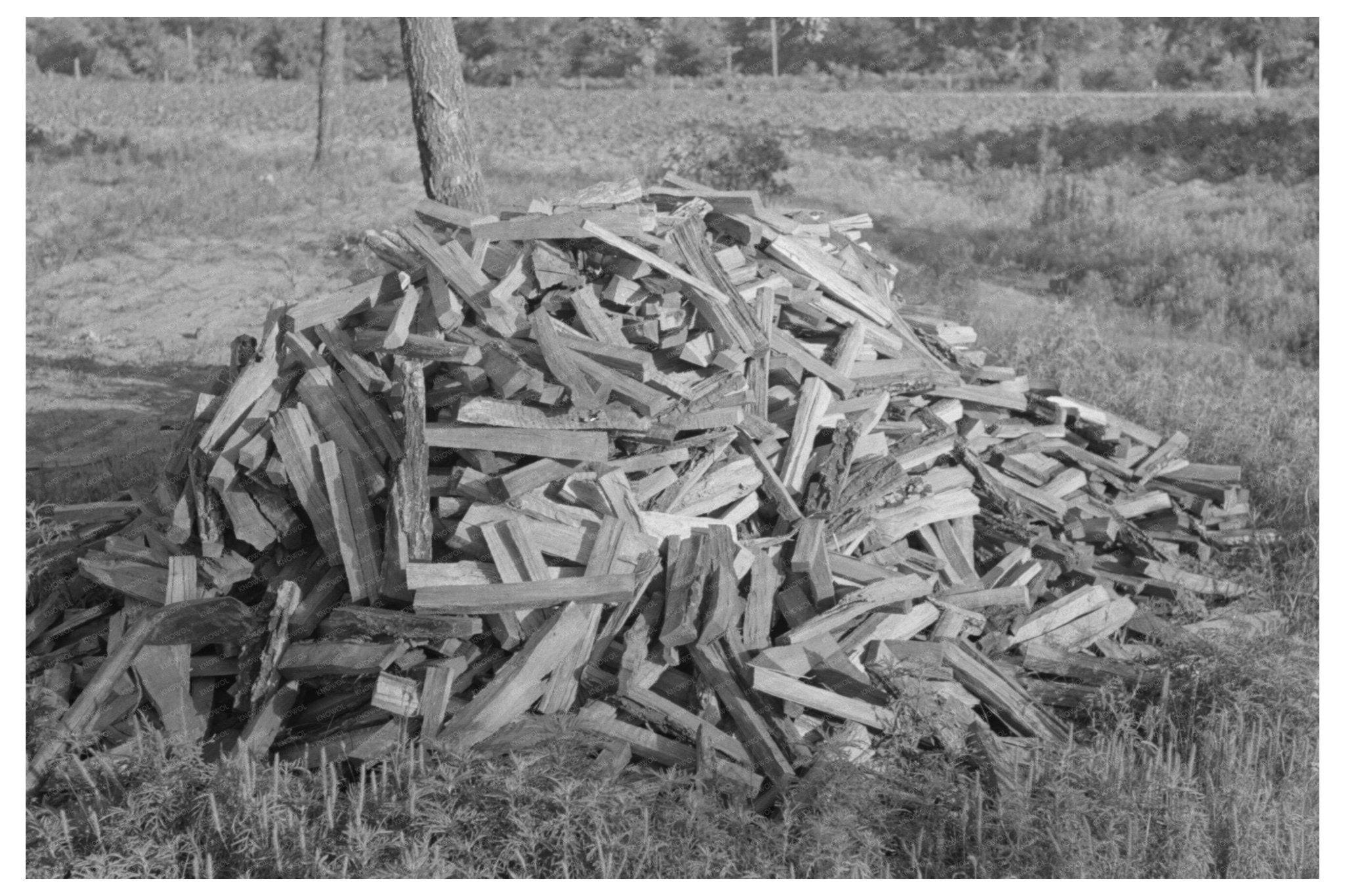 1939 Vintage Image of Indian Laborers Preparing Stove Wood - Available at KNOWOL