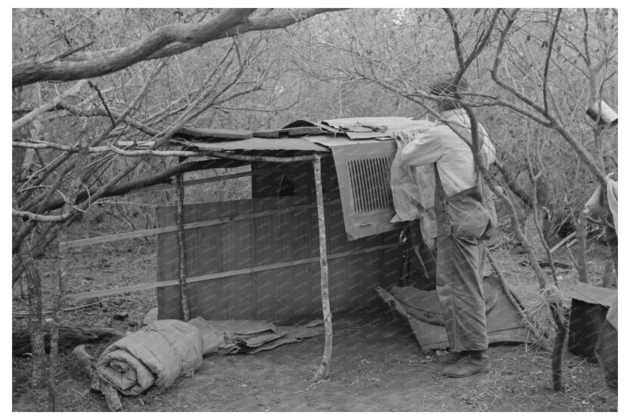 1939 Vintage Photo of Migrant Worker in Texas Camp - Available at KNOWOL