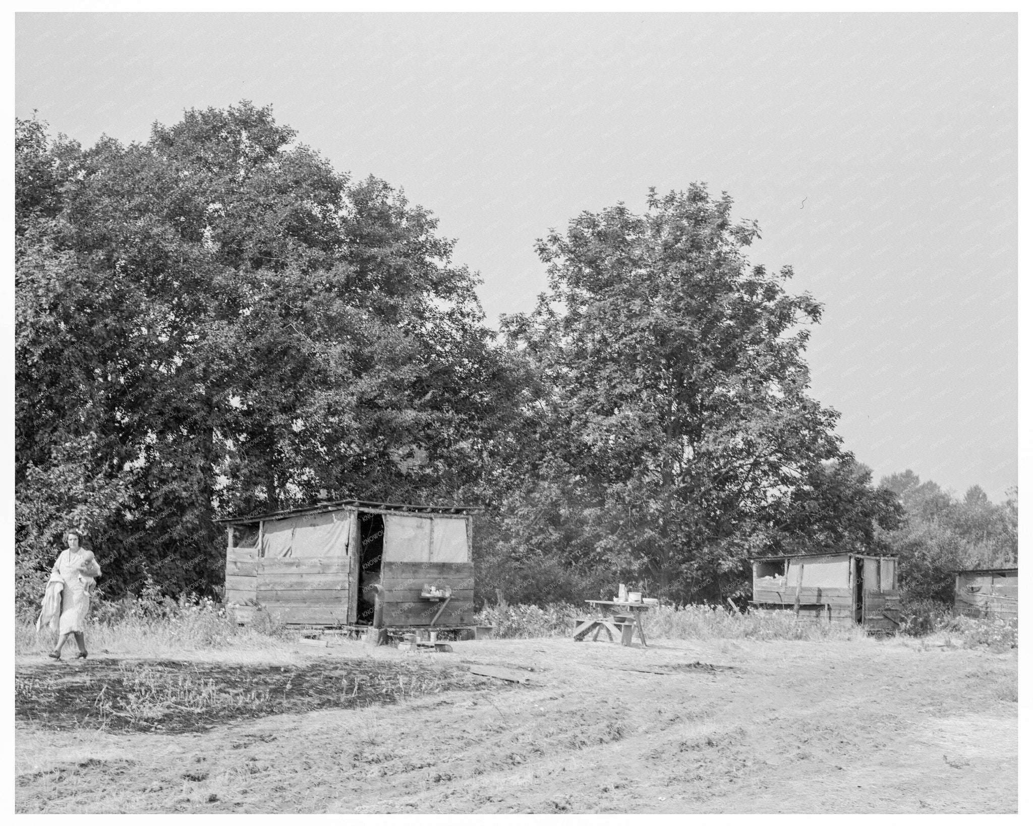 1939 Vintage Photo of Seasonal Worker Shacks in Oregon - Available at KNOWOL