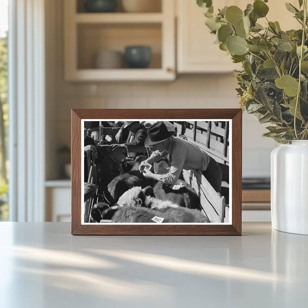 1939 Vintage Photo of Workers Tagging Steers in Texas - Available at KNOWOL