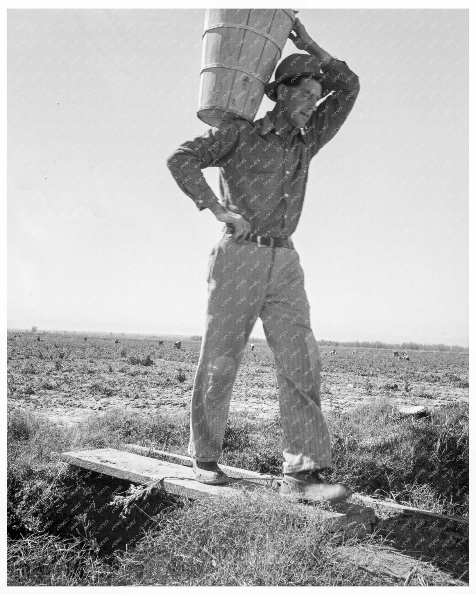 1939 Vintage Photograph of Pea Pickers at Weigh Station in Calipatria California - Available at KNOWOL