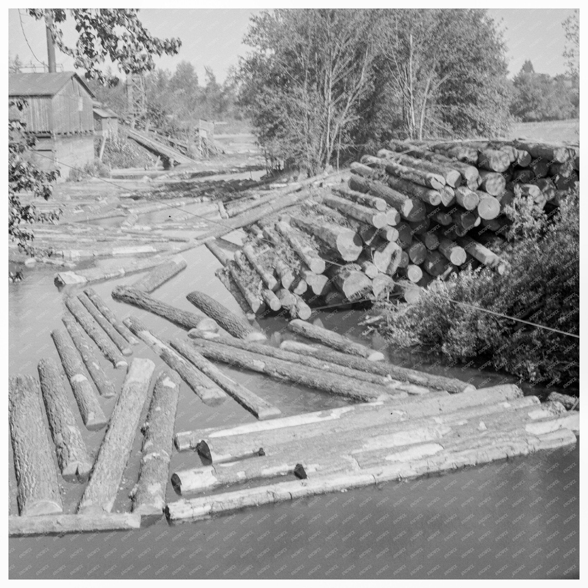 1939 Vintage Sawmill Photo on Marys River Oregon - Available at KNOWOL