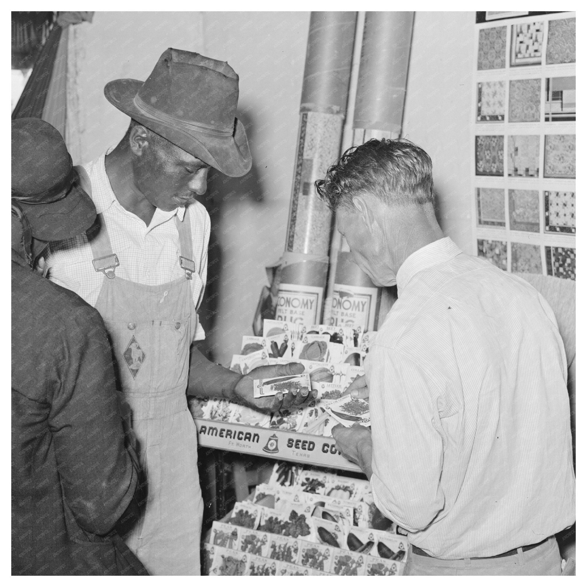 1939 Vintage Seed Selection in San Augustine Texas Hardware Store - Available at KNOWOL