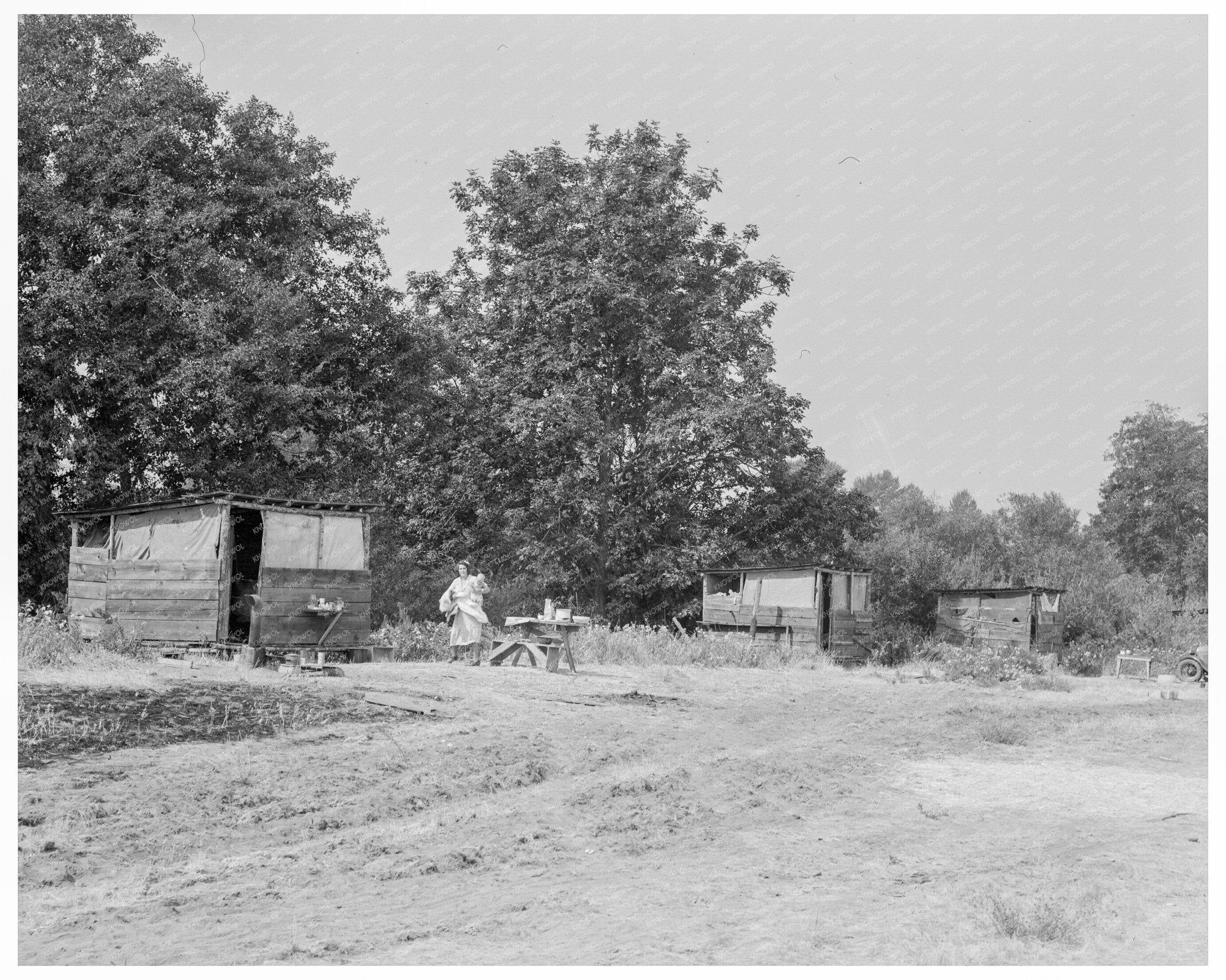 1939 Vintage Shacks for Agricultural Workers in Oregon - Available at KNOWOL