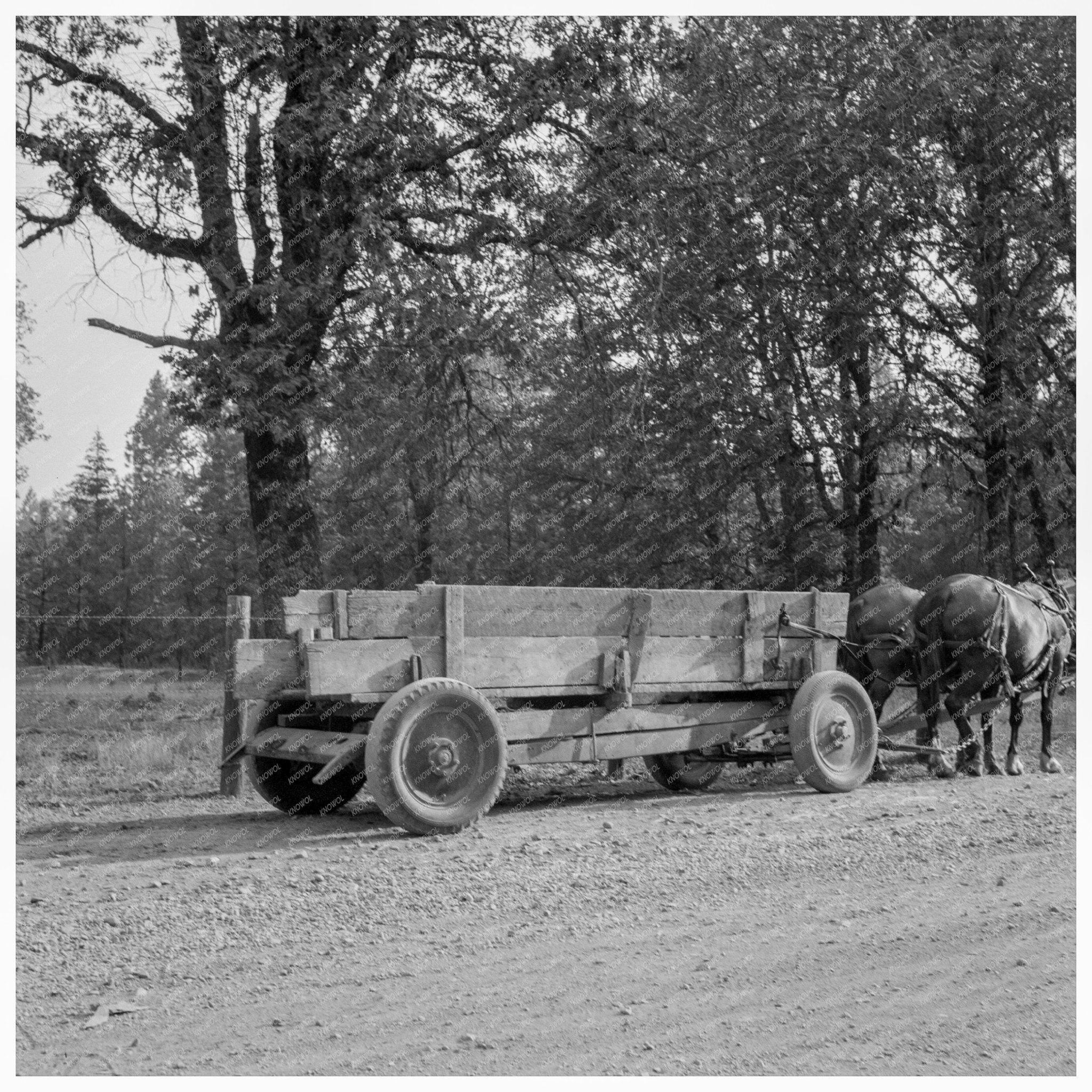 1939 Vintage Wagon from Wrecked Dodge Truck in Oregon - Available at KNOWOL