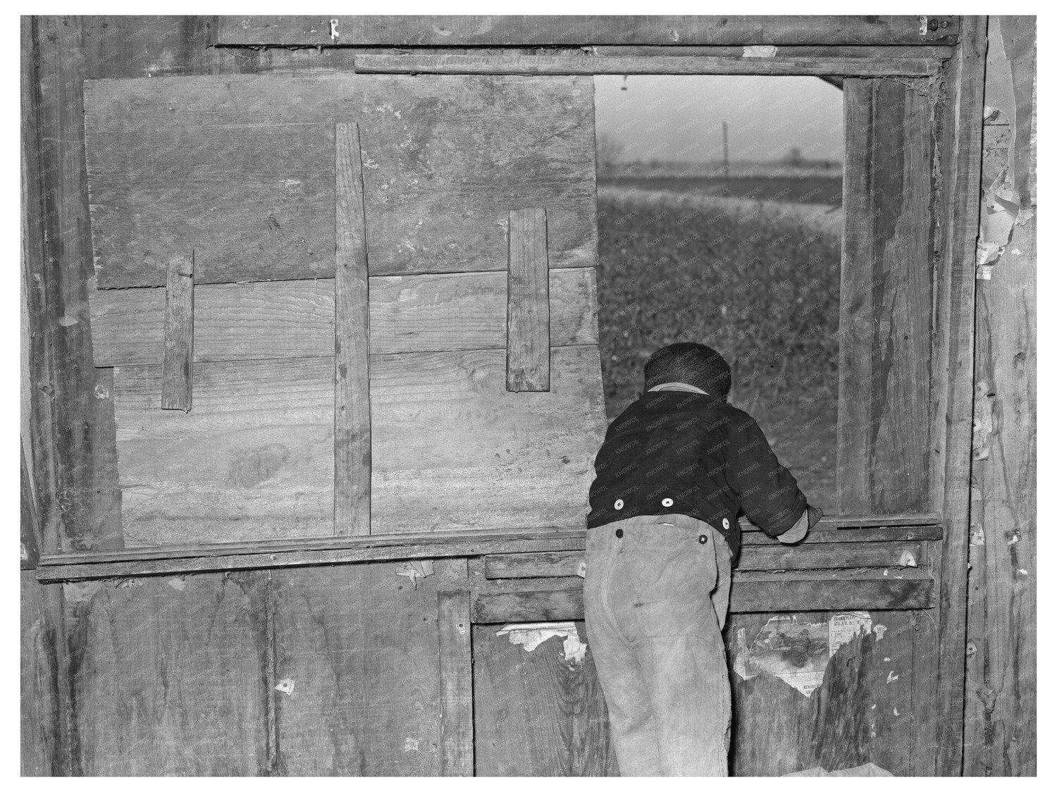 1939 Window in Sharecroppers Cabin Louisiana - Available at KNOWOL