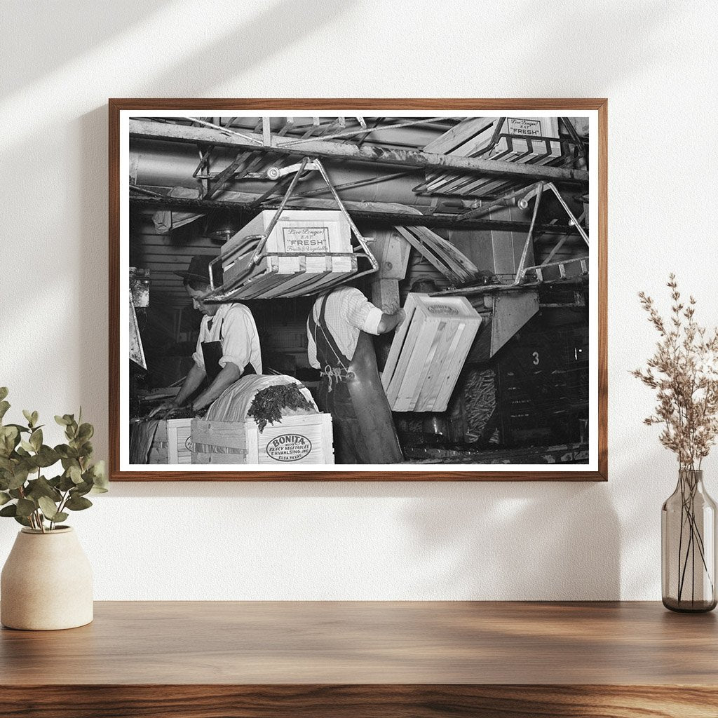 1939 Workers Packing Carrots at Elsa Texas Vegetable Plant - Available at KNOWOL