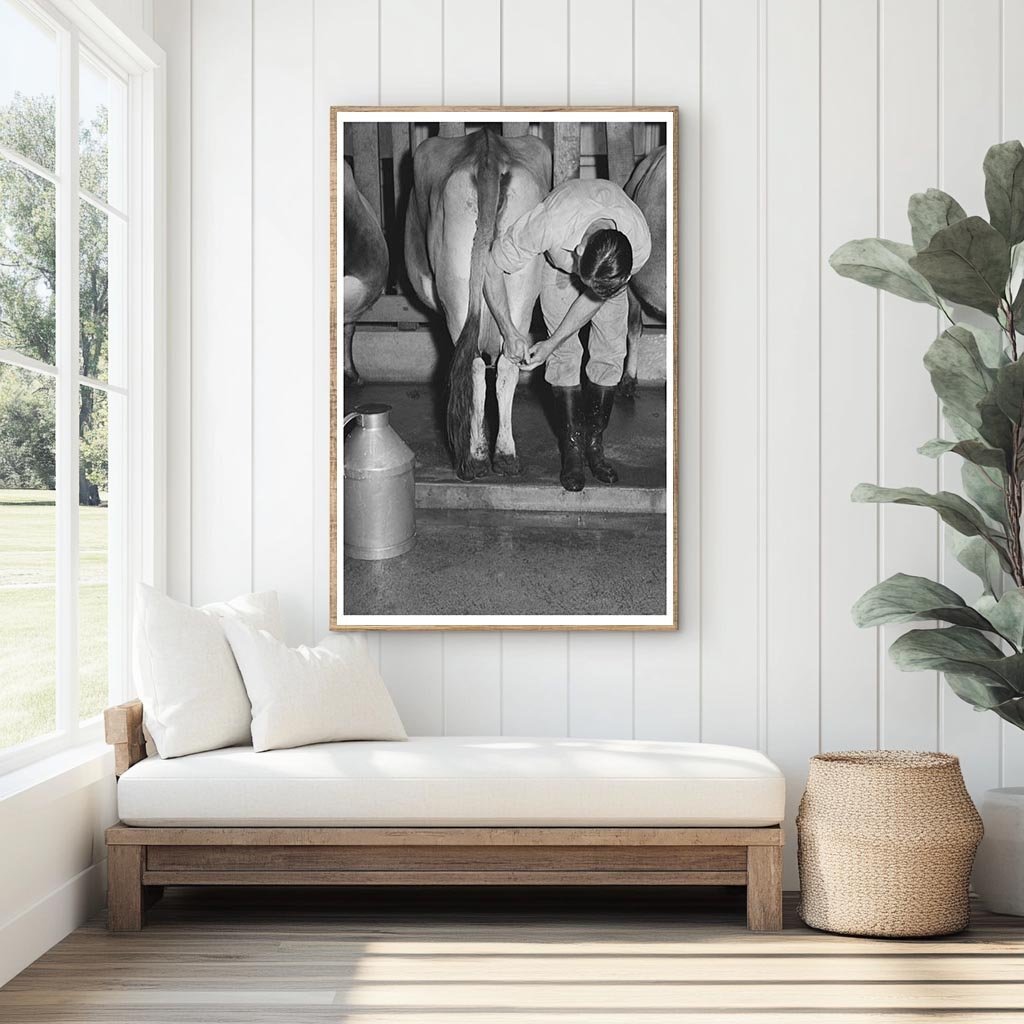 1940 Vintage Cow Milking at Mineral King Farm California - Available at KNOWOL