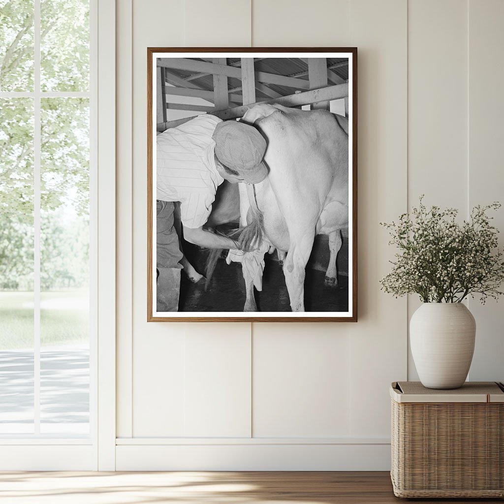 1940 Vintage Image of Farmer Preparing Cow for Milking - Available at KNOWOL
