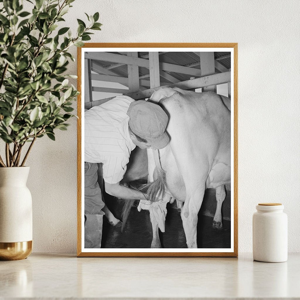 1940 Vintage Image of Farmer Preparing Cow for Milking - Available at KNOWOL
