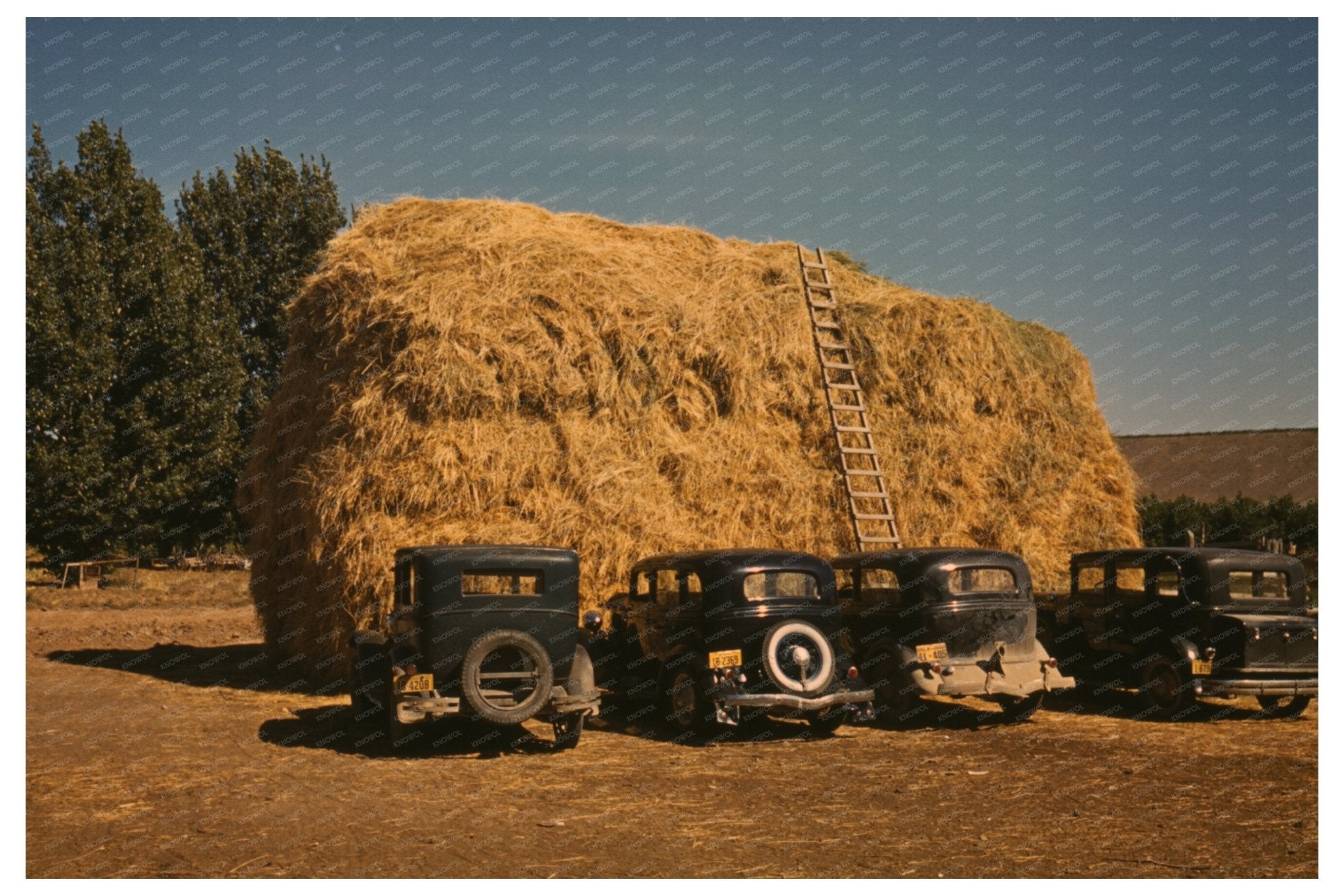 1940 Vintage Photo of Hay Stack and Peach Pickers Car Colorado - Available at KNOWOL