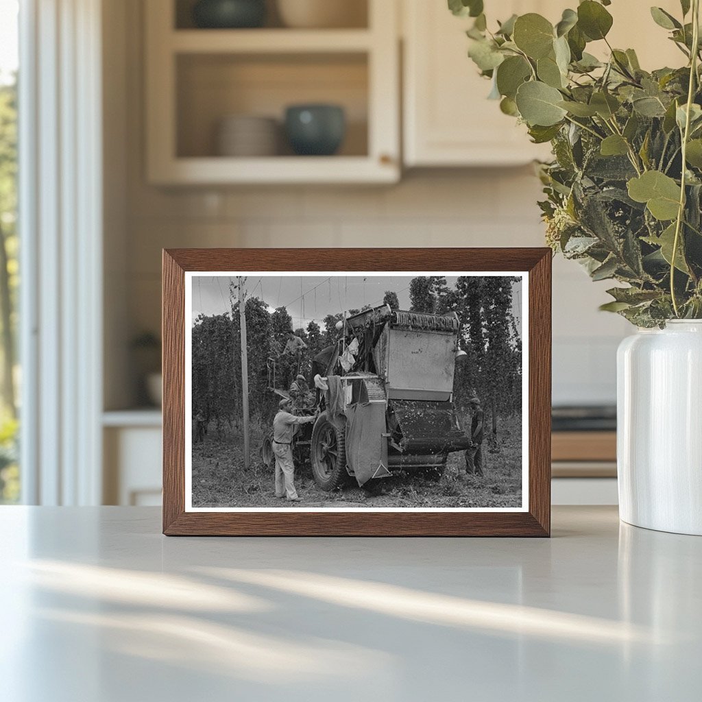 1941 Portable - Type Mechanical Hop Picker in Yakima County - Available at KNOWOL