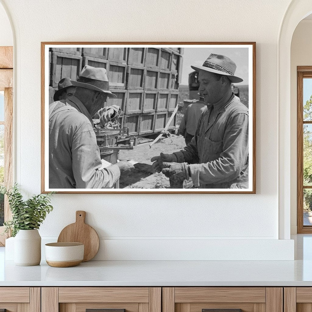 1941 Vintage Image of Tying Pea Crates for Transport - Available at KNOWOL
