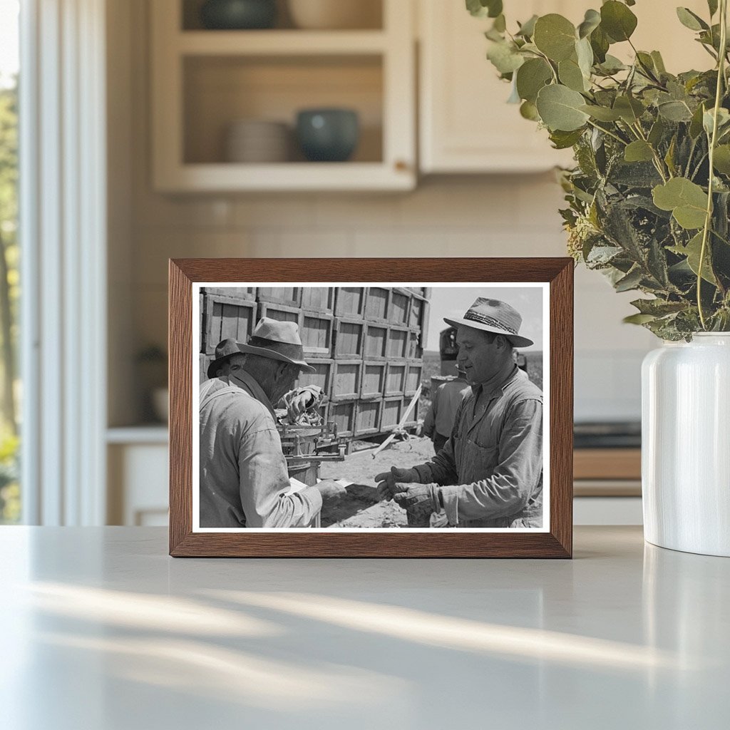 1941 Vintage Image of Tying Pea Crates for Transport - Available at KNOWOL