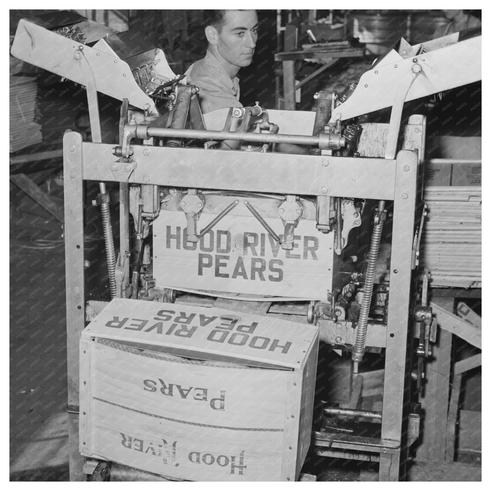 1941 Vintage Photo of Workers Lidding Pear Crates Oregon - Available at KNOWOL
