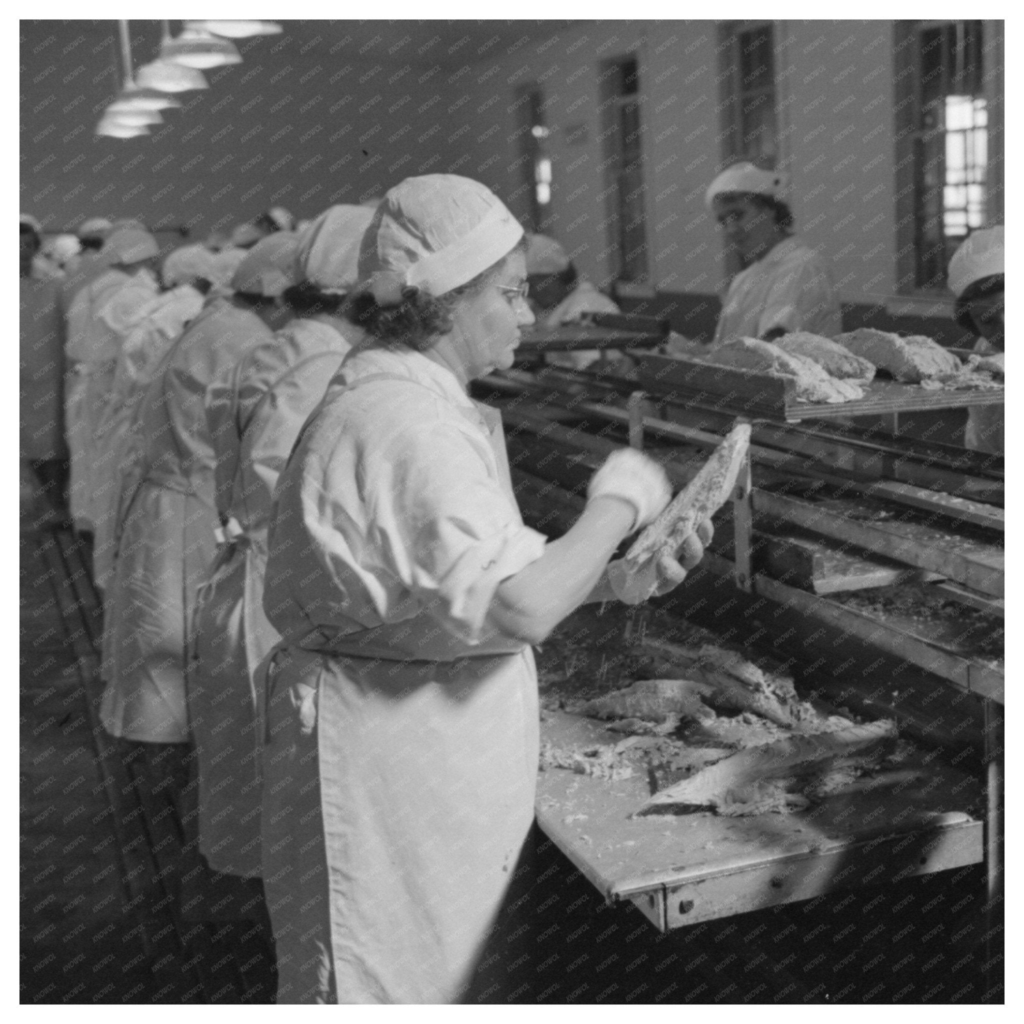 1941 Vintage Workers Skinning Cooked Tuna in Astoria Oregon - Available at KNOWOL