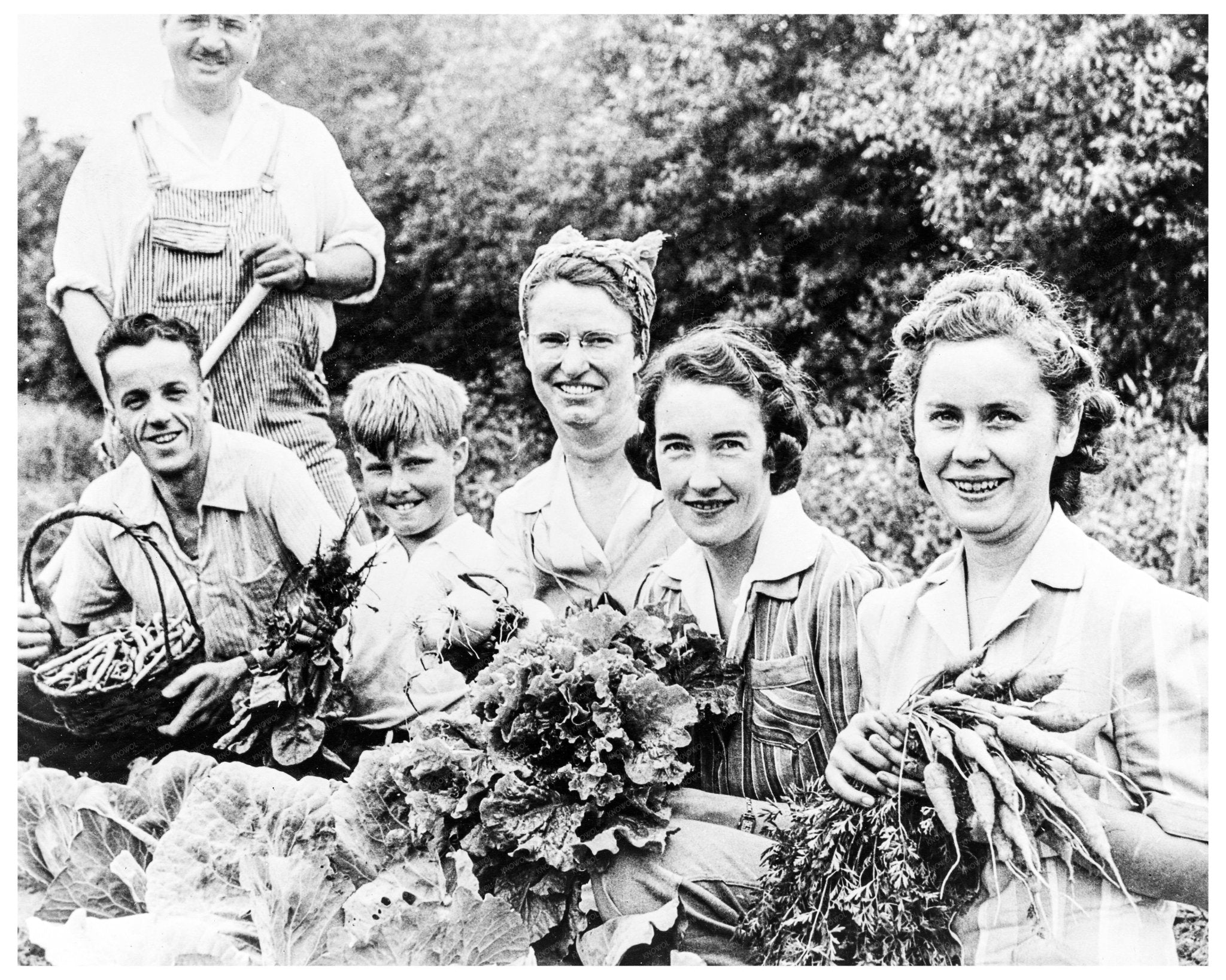 1942 1943 Vintage Photograph of WWII Victory Garden with Six Individuals and Vegetables - Available at KNOWOL