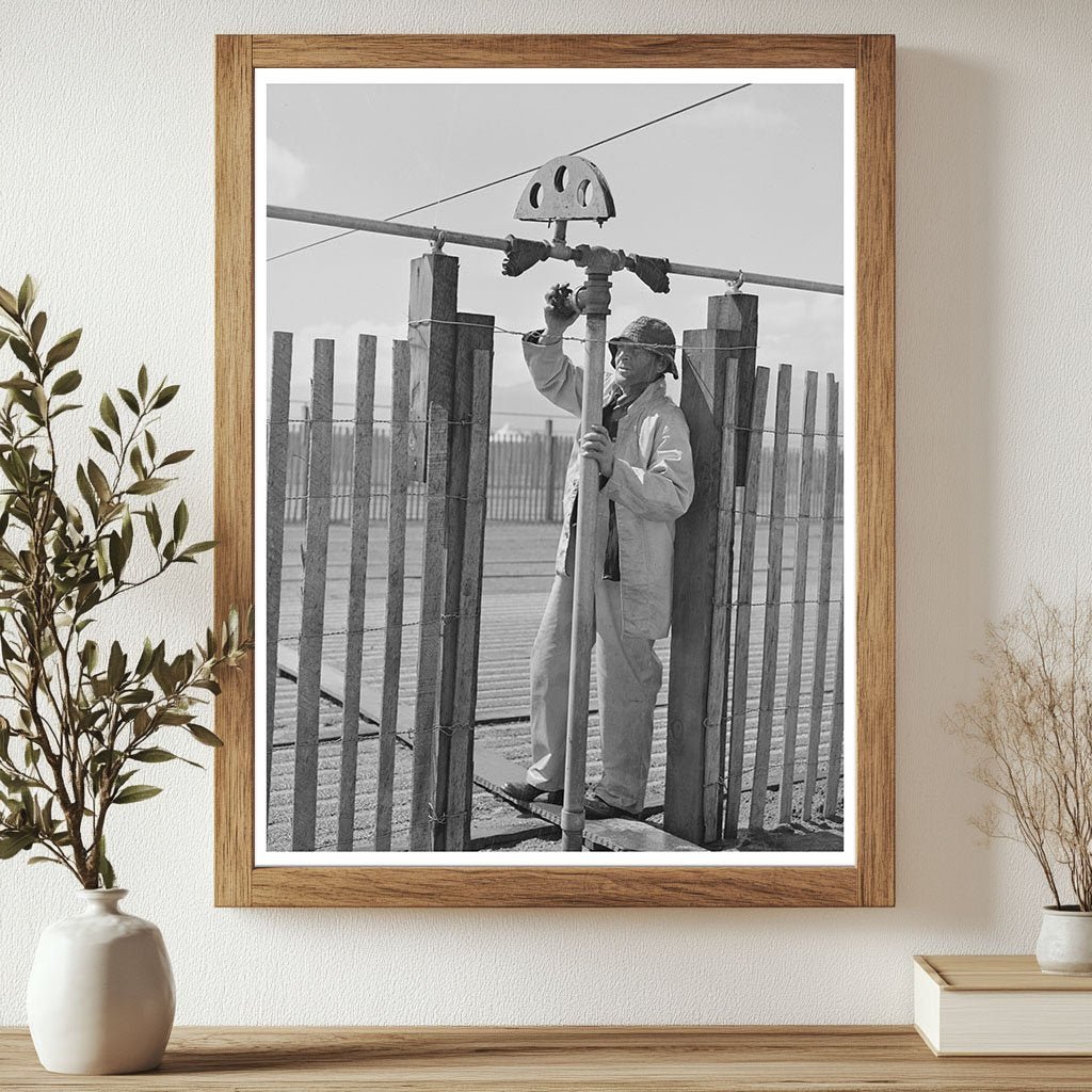 1942 Irrigation in Guayule Nursery Salinas California - Available at KNOWOL