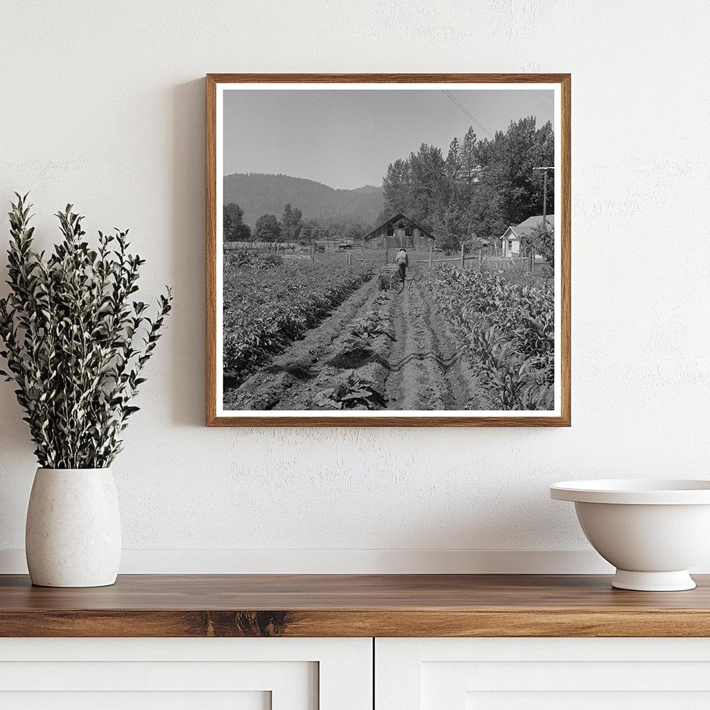 1942 Vintage Black and White Oregon Garden Image - Available at KNOWOL