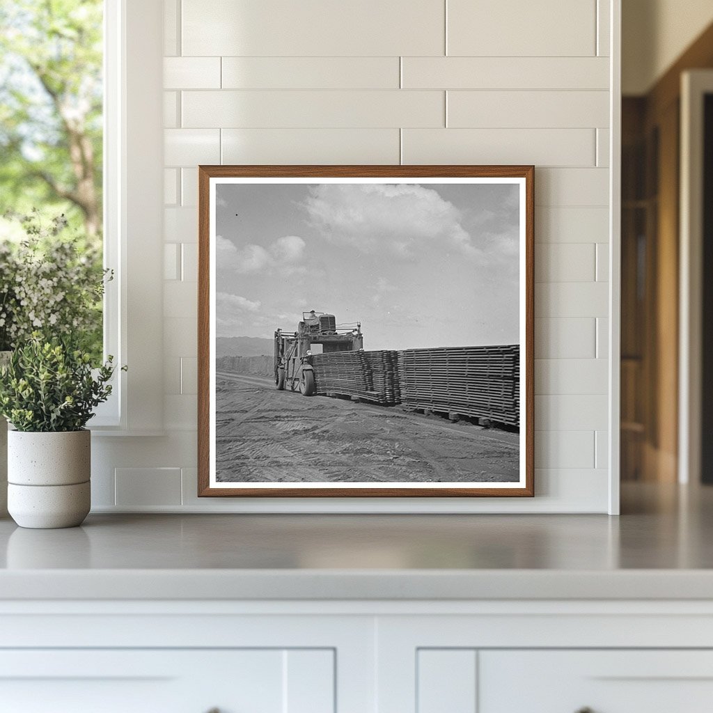 1942 Vintage Image of Duckboards in Salinas California - Available at KNOWOL