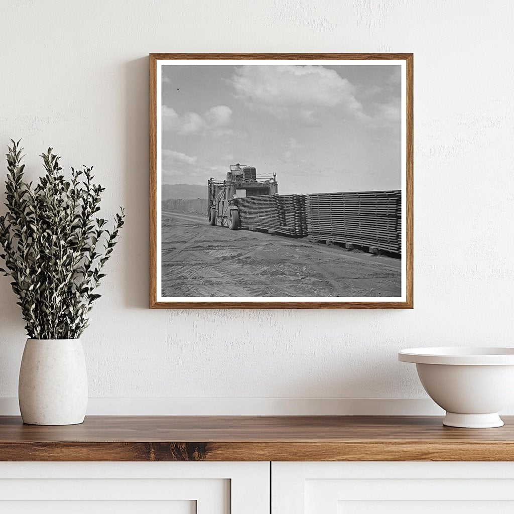 1942 Vintage Image of Duckboards in Salinas California - Available at KNOWOL