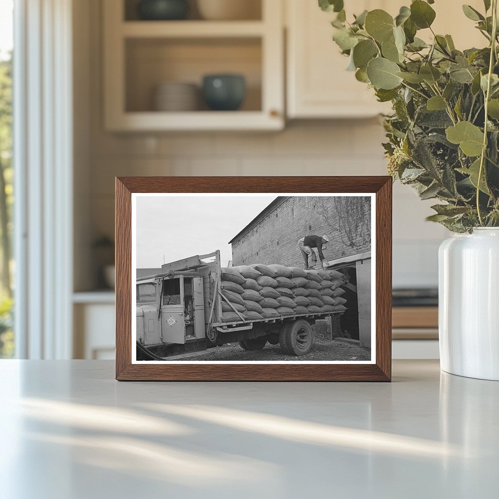 1942 Vintage Petaluma Workers Loading Feed Truck - Available at KNOWOL