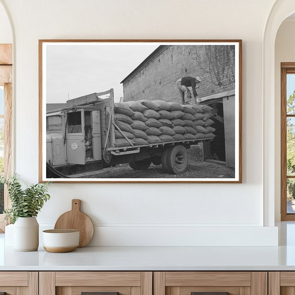 1942 Vintage Petaluma Workers Loading Feed Truck - Available at KNOWOL