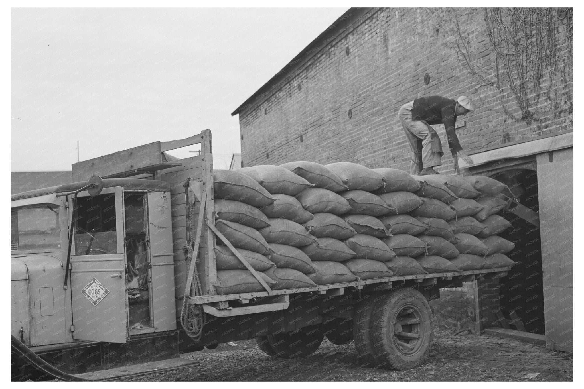 1942 Vintage Petaluma Workers Loading Feed Truck - Available at KNOWOL