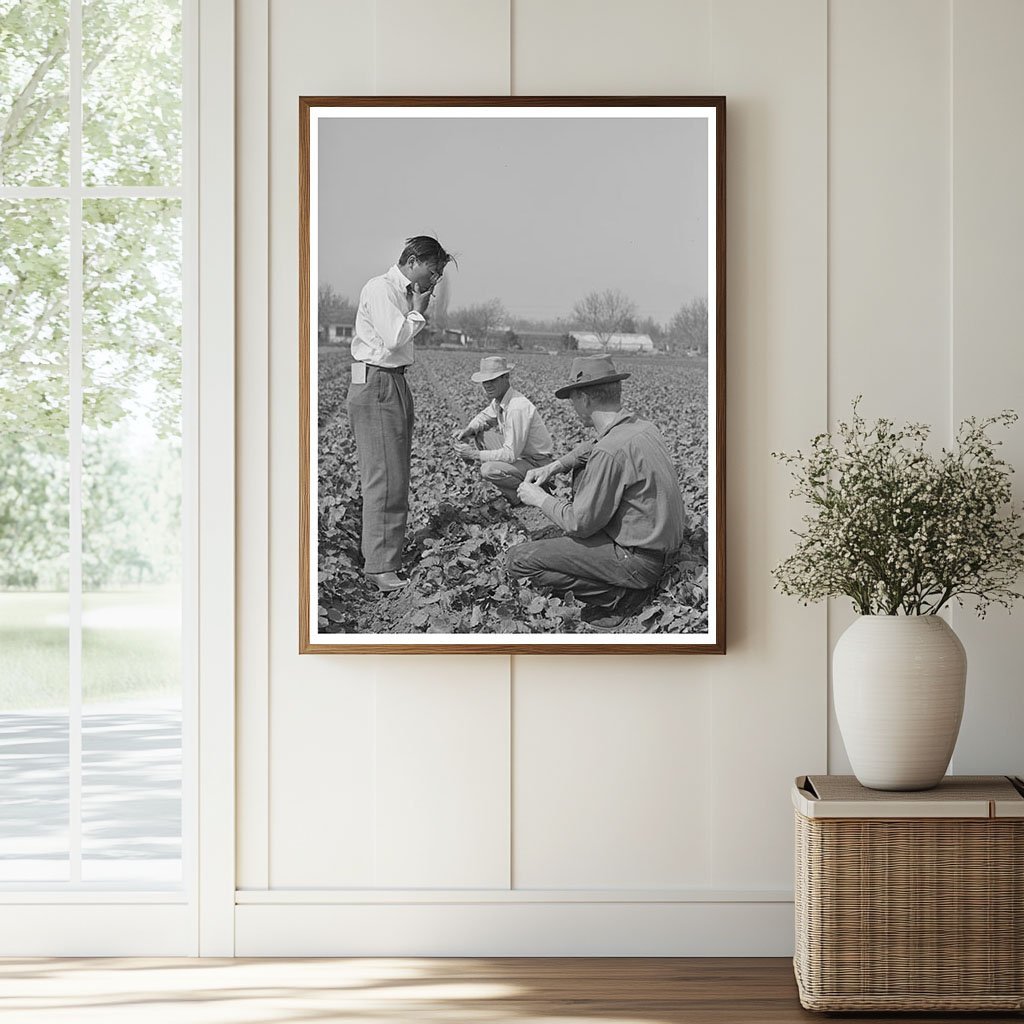 1942 Vintage Photo of Farmers in Los Angeles California - Available at KNOWOL