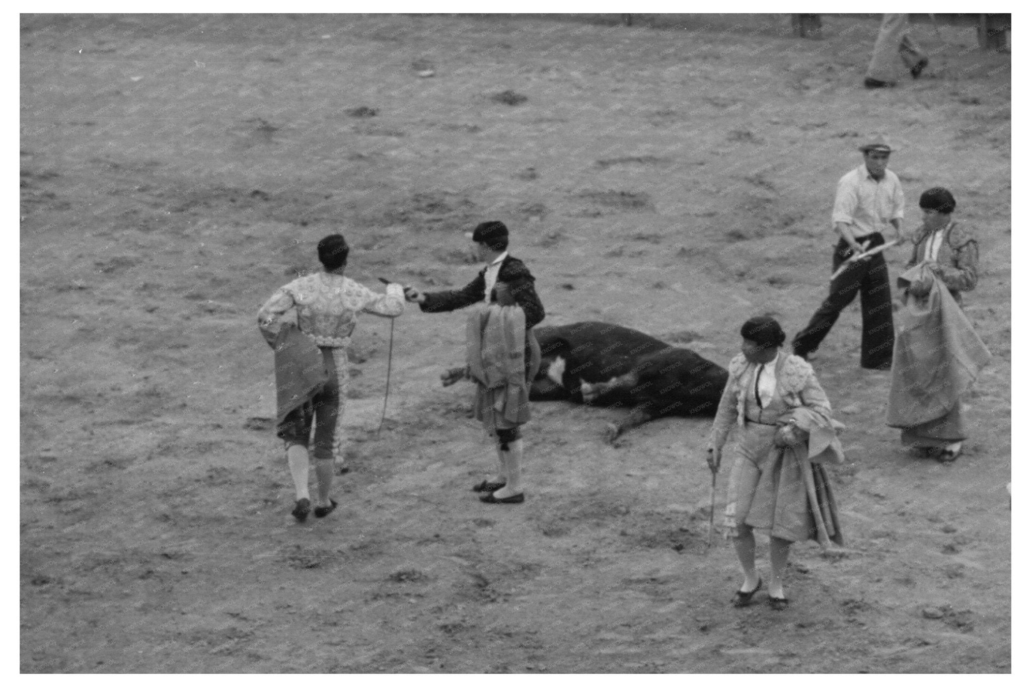 1942 Vintage Photograph of Bull Death in Matamoros Mexico - Available at KNOWOL